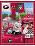 Fabric Sykel Enterprises University of Georgia Tailgate Panel GA1157