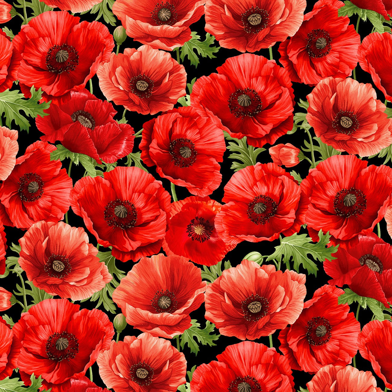 Fabric Timeless Treasures Black Large Poppy Floral Poppy Passion by the Quarter Yard CD3802-BLACK