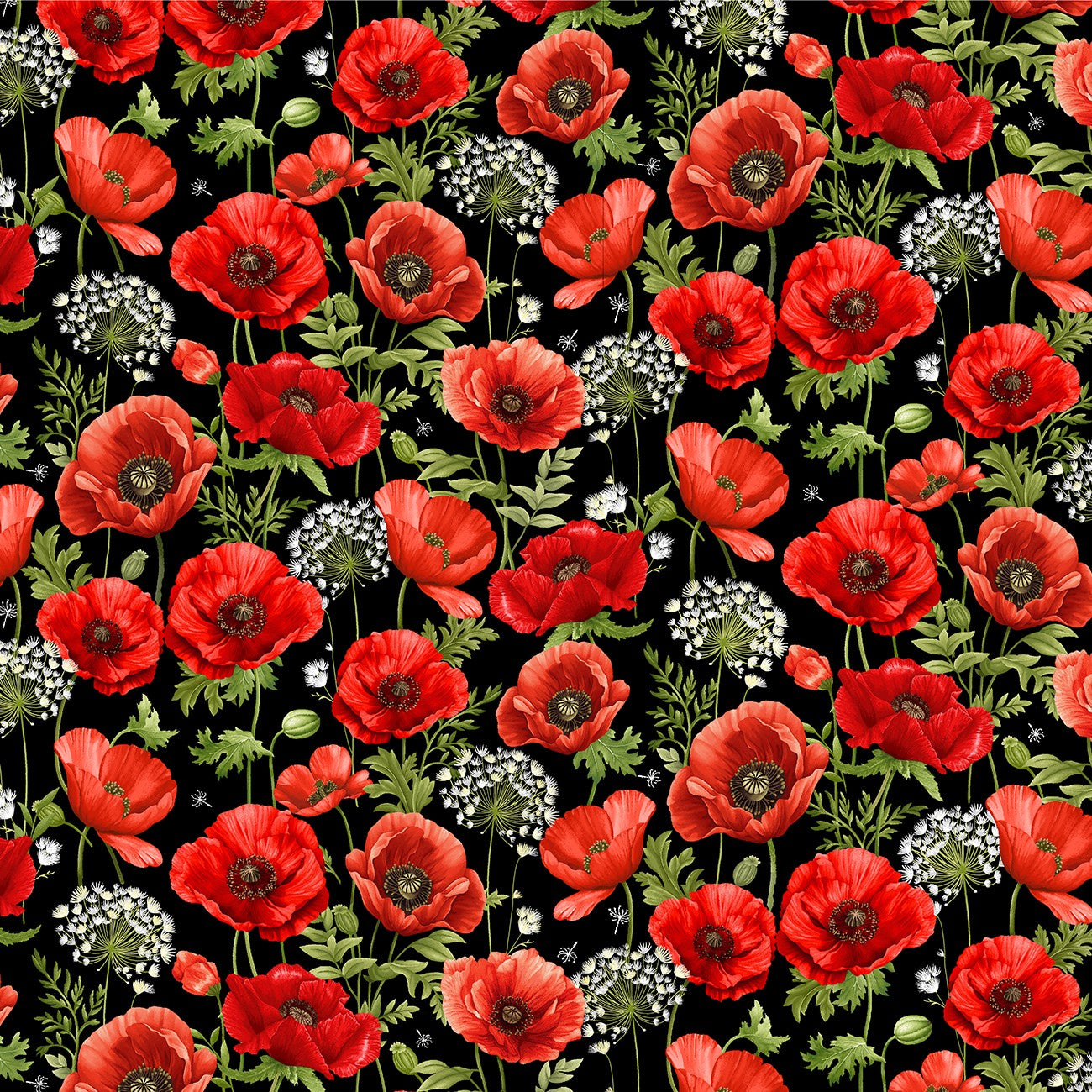 Fabric Timeless Treasures Black Poppy Field Poppy Passion by the Quarter Yard CD3806-BLACK