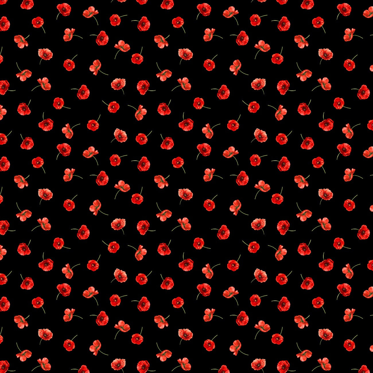 Fabric Timeless Treasures Black Tossed Poppies Poppy Passion by the Quarter Yard CD3809-BLACK