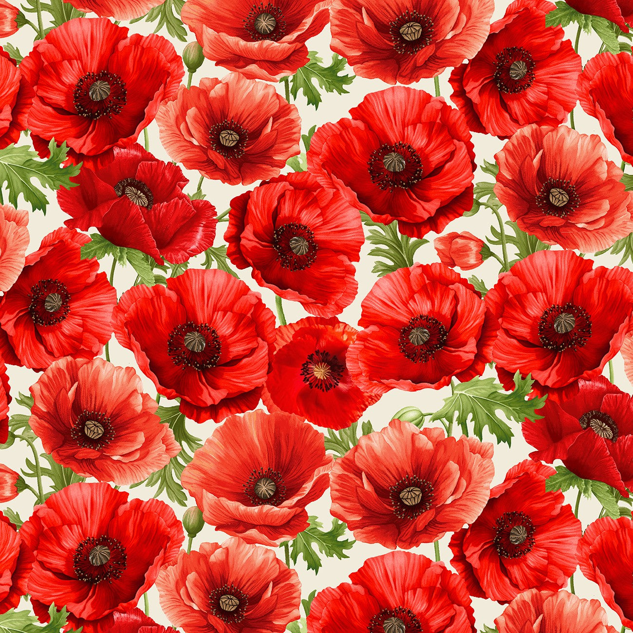 Fabric Timeless Treasures Cream Large Poppy Floral Poppy Passion by the Quarter Yard CD3802-CREAM