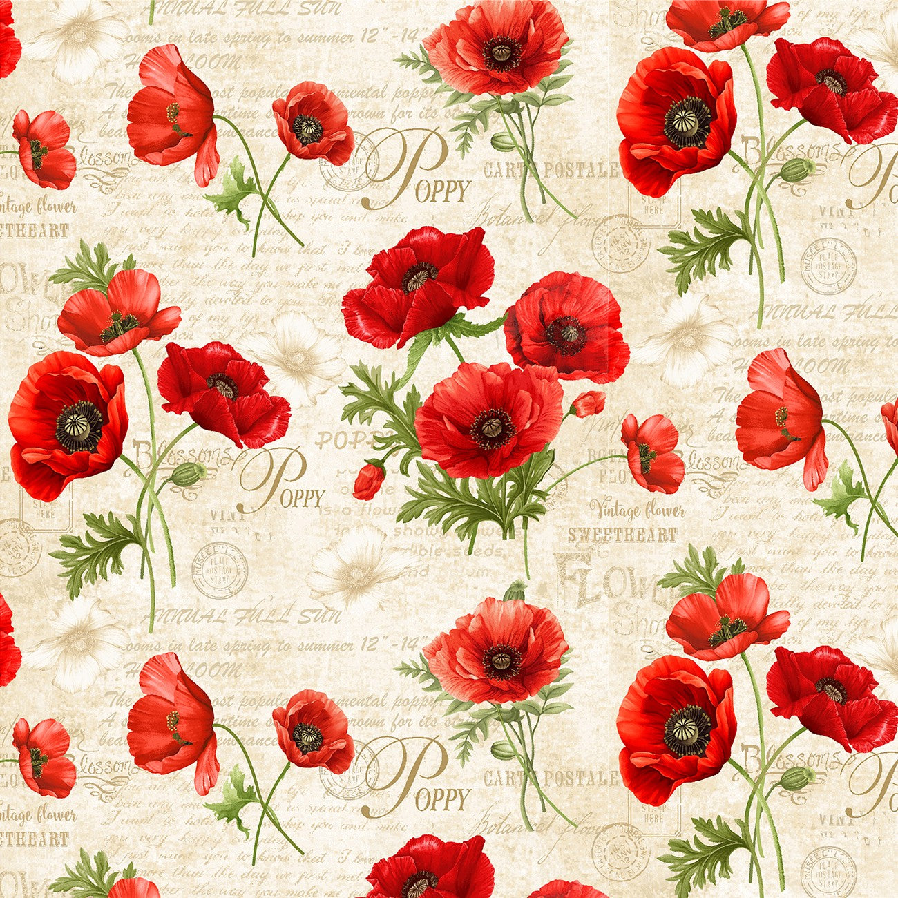 Fabric Timeless Treasures Cream Poppy Floral & Text Poppy Passion by the Quarter Yard CD3804-CREAM
