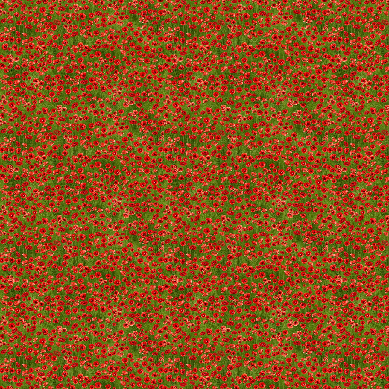 Fabric Timeless Treasures Green Tiny Poppies Poppy Passion by the Quarter Yard CD3811-GREEN