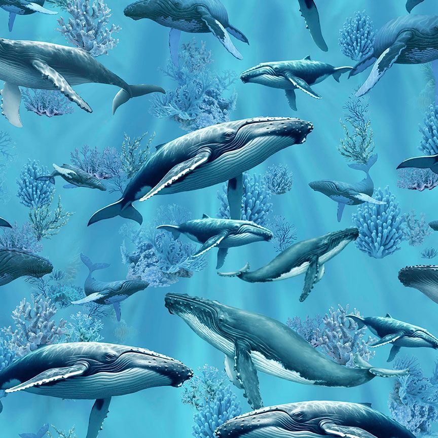 School of whales swimming among coral reefs underwater