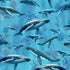 School of whales swimming among coral reefs underwater