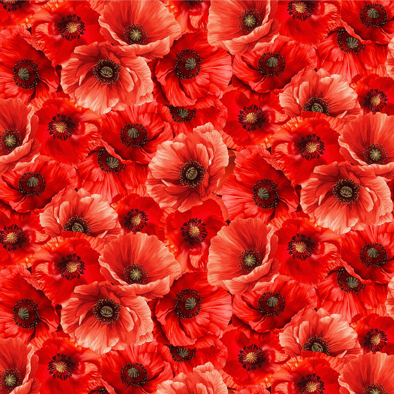 Fabric Timeless Treasures Packed Poppies Poppy Passion by the Quarter Yard CD3805-POPPY