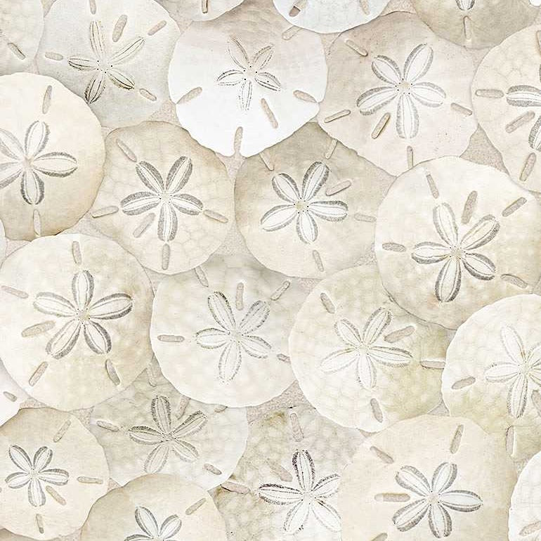 Pattern of sand dollars with floral designs on a beige background