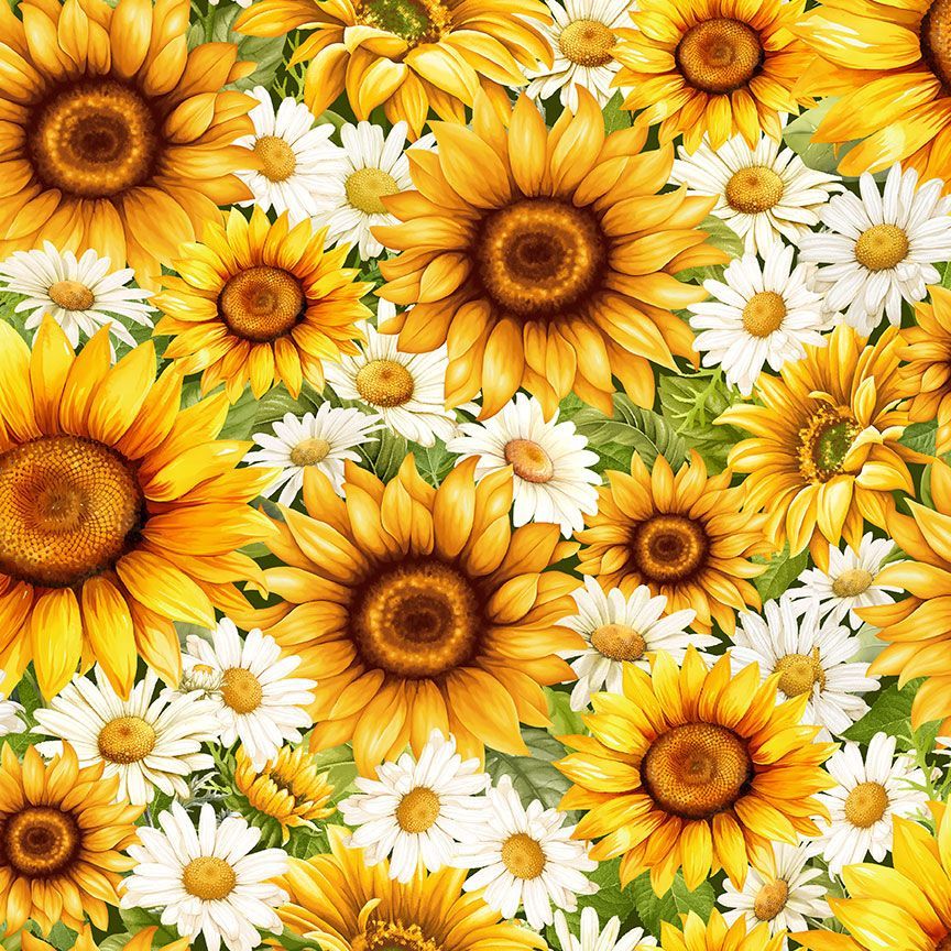Fabric Timeless Treasures Sunflower Packed Daisies & Sunflowers You Are My Sunshine by the Quarter Yard FLEUR-CD3883
