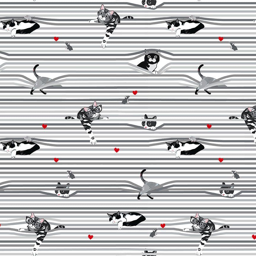 Fabric Timeless Treasures White Peekaboo Shade Cats Smitten Kitten by the Quarter Yard CAT-CD3020