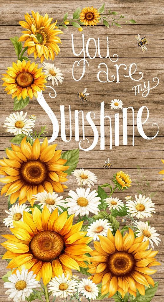 Fabric Timeless Treasures You Are My Sunshine 24" Panel PANEL-CD3880