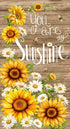 Fabric Timeless Treasures You Are My Sunshine 24" Panel PANEL-CD3880