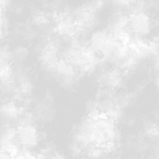 Fabric Wilmington Batiks Light Gray Texture Mist by the Quarter Yard 33921-900