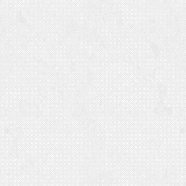 Solid light gray color swatch