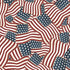 Fabric Wilmington Prints Packed Flags Founding Glory 108" Wide Back by the Quarter Yard 6631-234