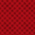 Red fabric with a plaid pattern