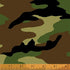 Fabric Windham Green Camo 108" Quilt Back by the Quarter Yard 51463-1