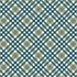 Teal and white plaid pattern on a checkered background