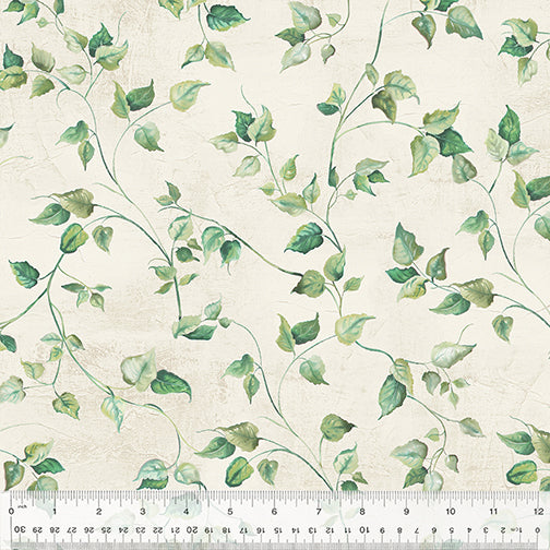 Fabric Windham Ivy Butterfly Collector 108" Quilt Back by the Quarter Yard 53584W-1DES