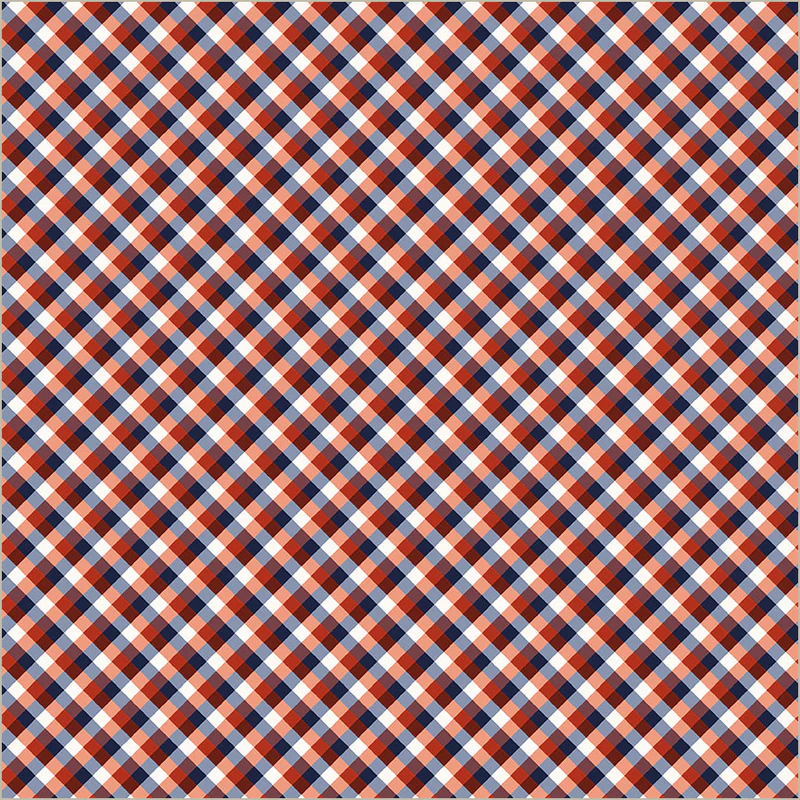 Fabric Windham Red Picnic Gingham Front Porch by the Quarter Yard 54863-9