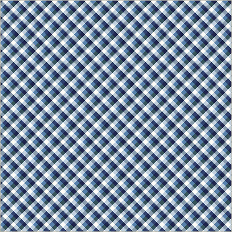 Fabric Windham Sky Picnic Gingham Front Porch by the Quarter Yard 54863-8
