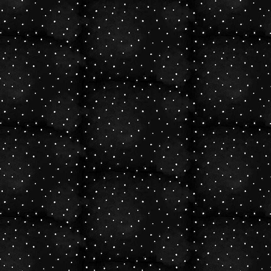 Fabric Timeless Treasures Black Dots Welcome Winter by the Quarter Yard CD4267-BLACK