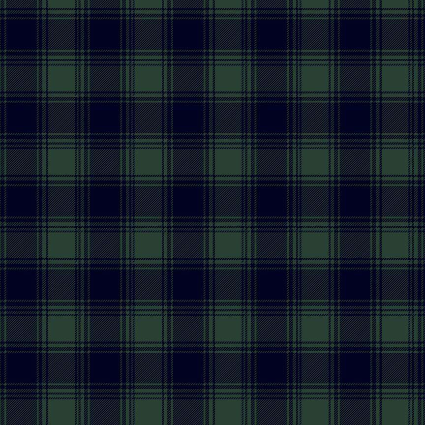 Fabric Timeless Treasures Green Buffalo Plaid Welcome Winter by the Quarter Yard CD4268-GREEN