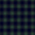 Fabric Timeless Treasures Green Buffalo Plaid Welcome Winter by the Quarter Yard CD4268-GREEN