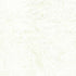 Fabric Lumin Neutral Milk Shake Foundations Neutrals Island Batiks by the Quarter Yard 43666