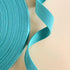 Riley Blake Designs Teal Minki Kim 1" Cotton Webbing by the Quarter Yard P178-SIWEB01