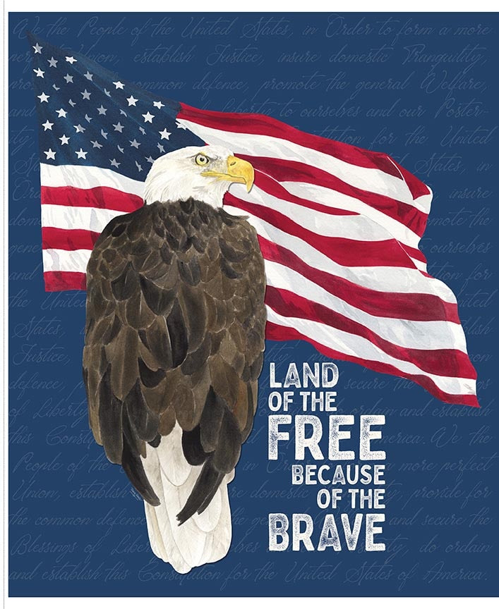 Fabric Riley Blake Land of the Free Valor Is Never Forgotten Quilt Panel P18886-PANEL