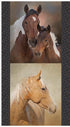 Fabric Riley Blake Multi Horses #2 Horseshoe Creek Quilt Panel PD18480-PANEL