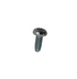 A single small metal screw with a rounded silver head and threaded shaft, centered on a plain white background.