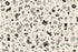 Fabric Ruby Star Society Natural Tattoo Flash Ink Shop by the Quarter Yard RS2145-11