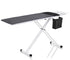 Ironing board with a black top and white base on a white background