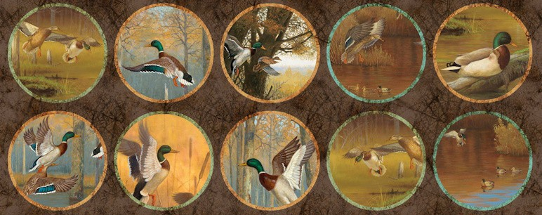 Shop the Final Approach Fabric Collection by Hayden Lambson for Michael Miller Fabrics at World Weidner