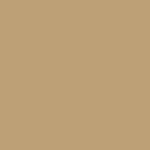Siser EasyWeed EcoStretch Heat Transfer Vinyl Vegas Gold