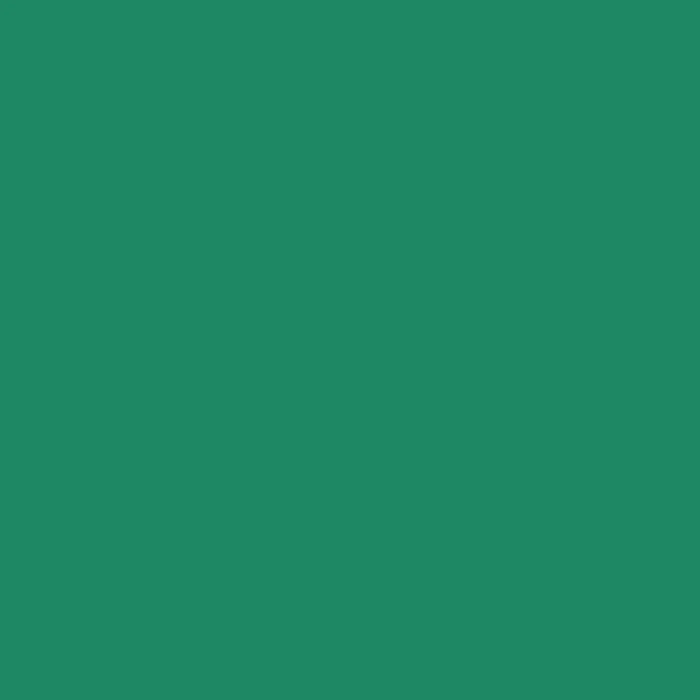 Siser EasyWeed Heat Transfer Vinyl Cadette Green
