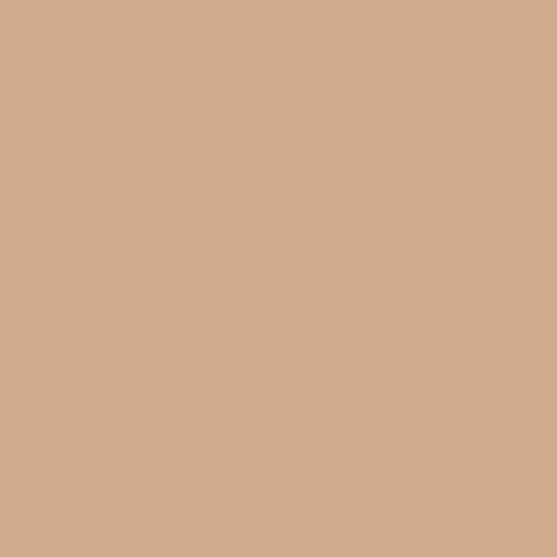 Siser EasyWeed Heat Transfer Vinyl Cashew