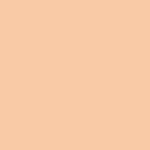 Siser EasyWeed Heat Transfer Vinyl Light Apricot