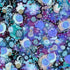 Fabric P & B Textiles Blue and Violet Abstract Allover Tree of Life by the Quarter Yard 6379-BV