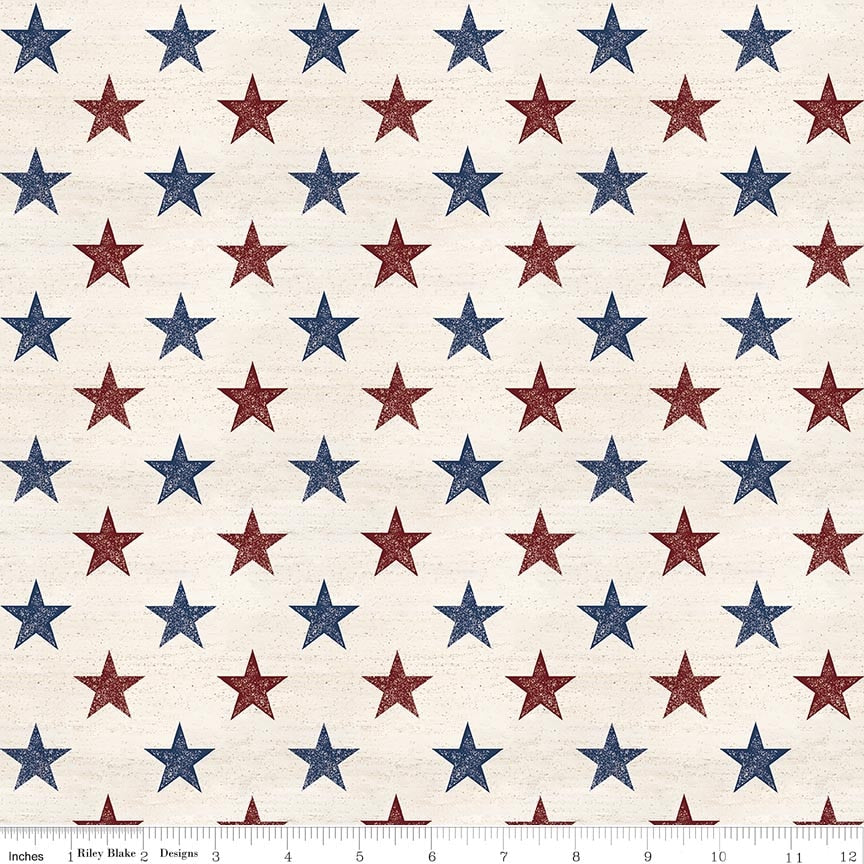 Fabric Riley Blake Multi Stars Valor Is Never Forgotten 108" Wide Back by the Quarter Yard WB18887-MULTI