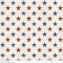 Fabric Riley Blake Multi Stars Valor Is Never Forgotten 108" Wide Back by the Quarter Yard WB18887-MULTI