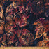 Fabric Hoffman Fall Xray Leaves Clear Skies Bali Batiks by the Quarter Yard X2650-714
