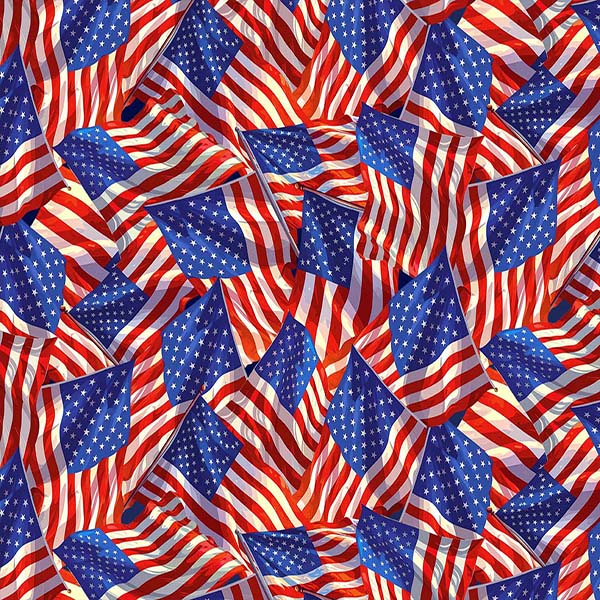 Fabric Michael Miller Multi Flag-Top Fashion Red, White & Beautiful by the Quarter Yard DCX13152-MULT