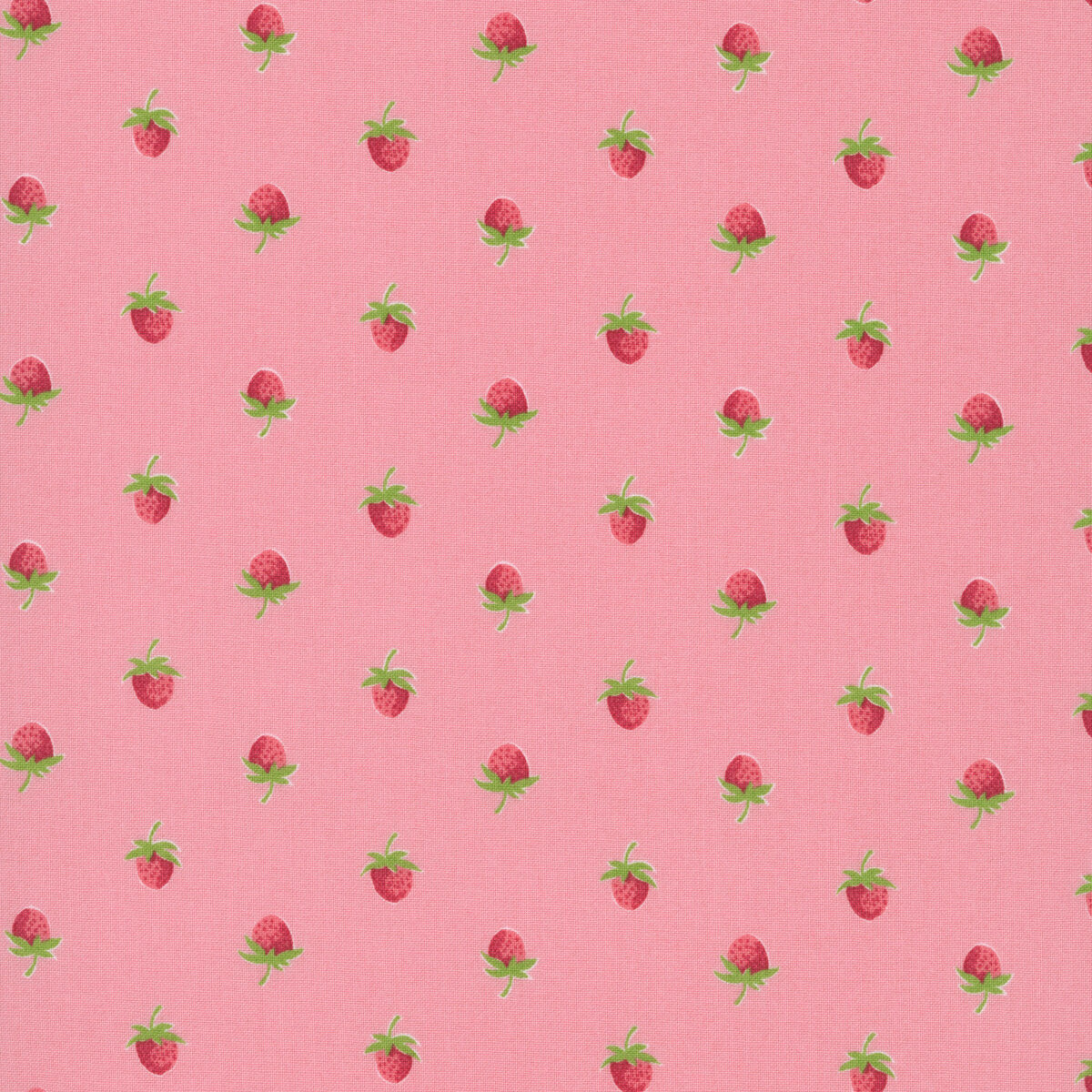 Fabric Moda Blush Berries Bloomsberry by the Quarter Yard 55352-16