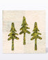 AccuQuilt GO! Northwoods Medley Die 55483 view of patches