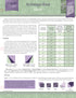 Studio 180 Design Sliver Technique Sheet DTEC07 for Sale at World Weidner